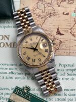 Rolex Datejust 36 mm "Buckley" Dial FULL SET 1983, automático.